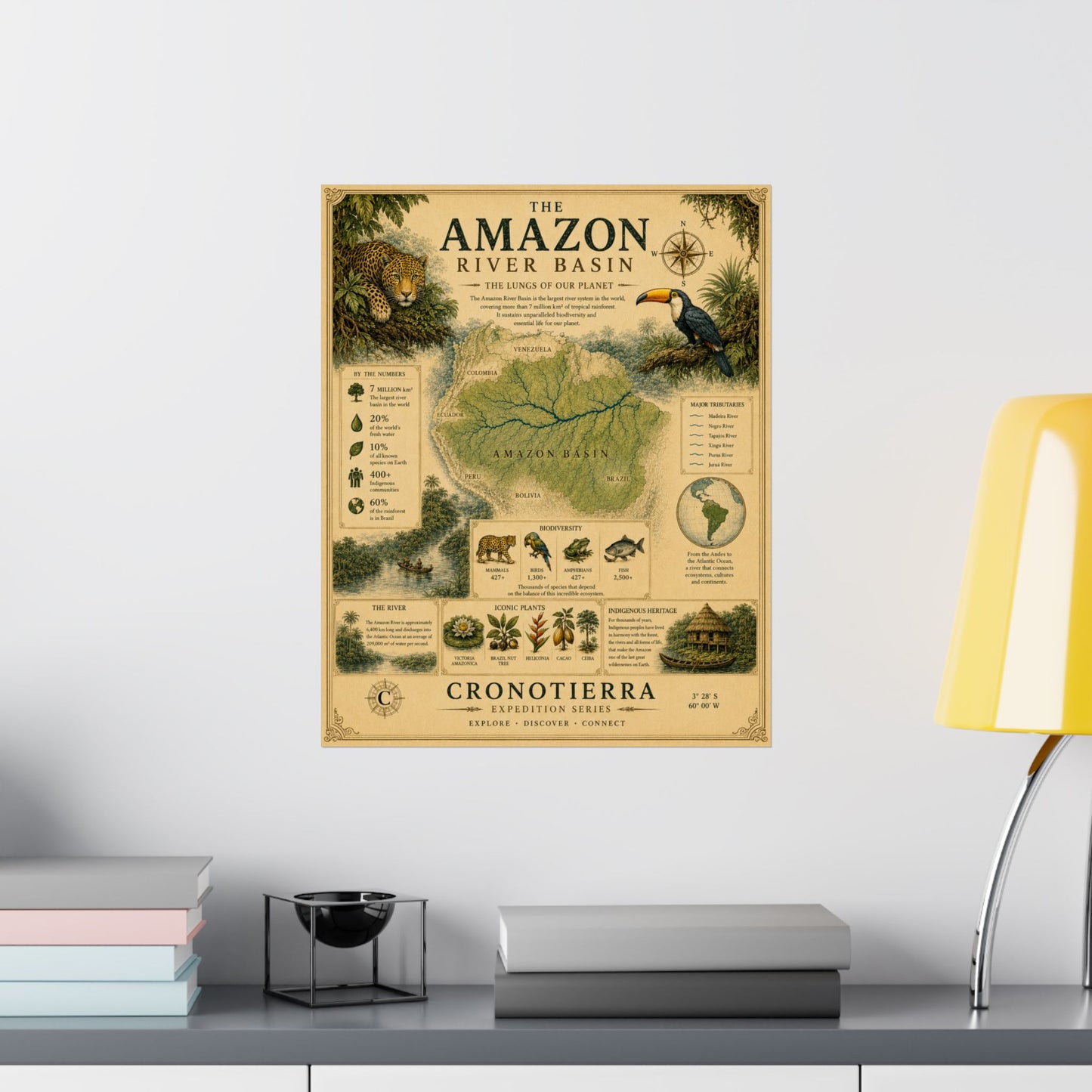 Cronotierra Amazon River Basin Vintage Map Poster