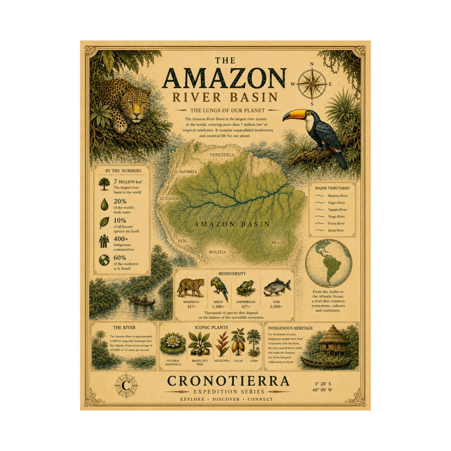 Cronotierra Amazon River Basin Vintage Map Poster