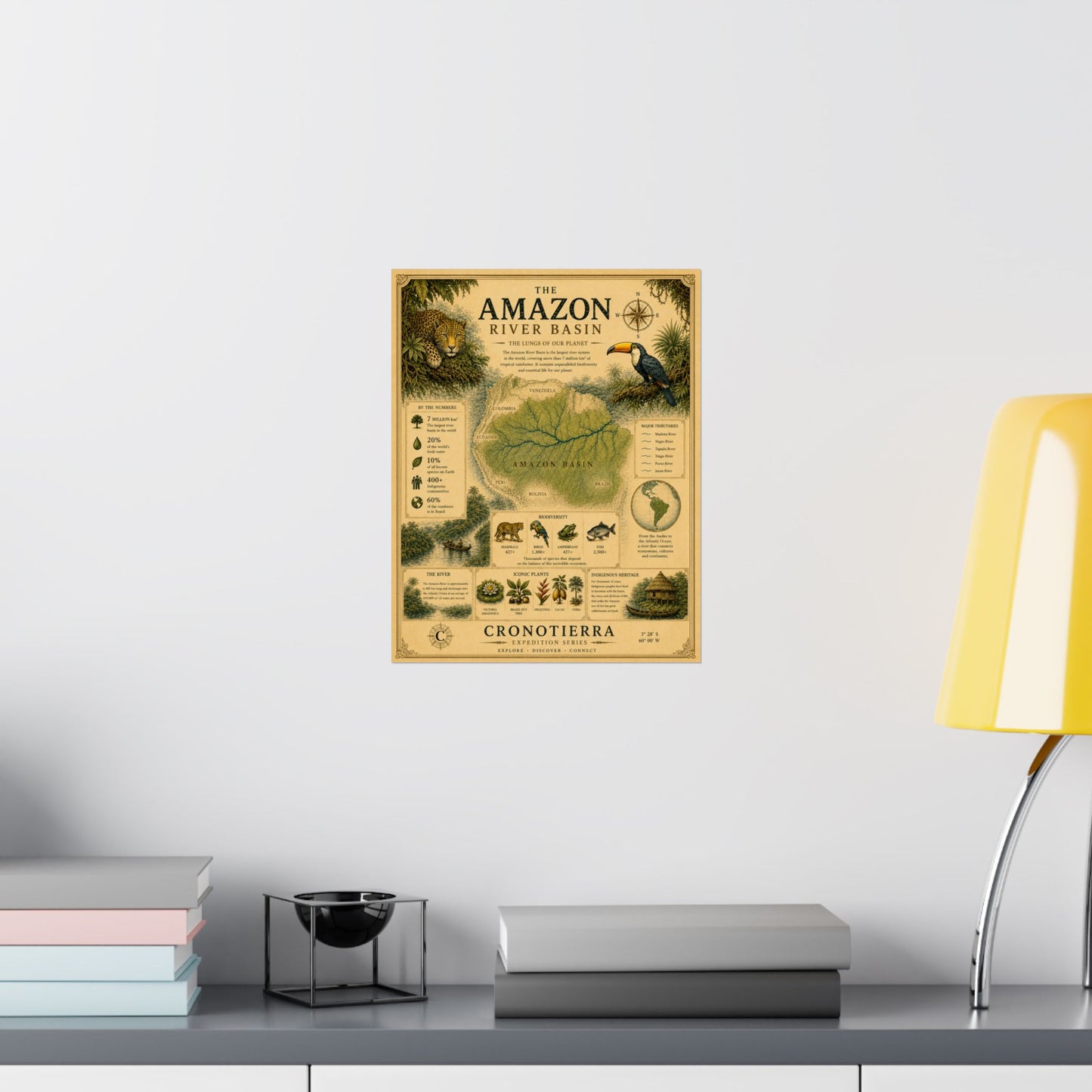 Cronotierra Amazon River Basin Vintage Map Poster