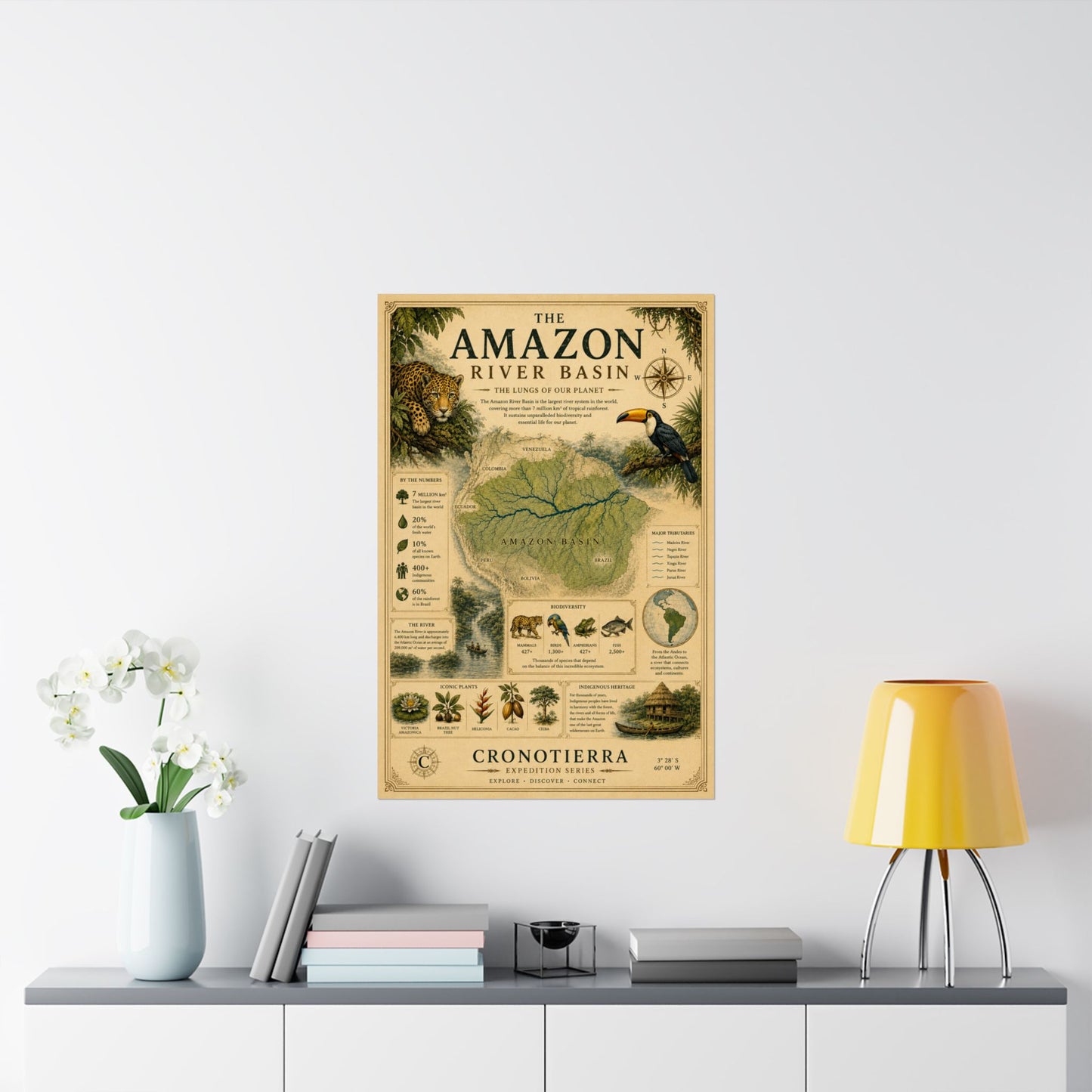 Cronotierra Amazon River Basin Vintage Map Poster